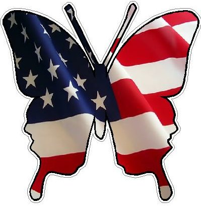 Butterfly Camo Sticker 2 - FLAG USA
