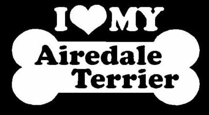 I Love My Airdale Terrier