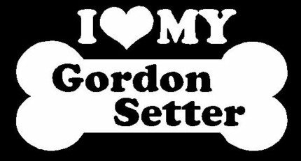 I Love My Gordon Setter