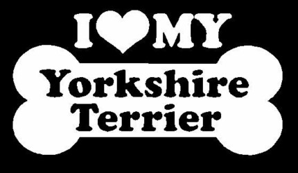 I Love My Yourshire Terrier