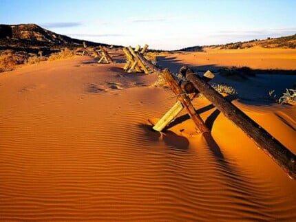 Sand and Deserts Vinyl Wall Graphics 42