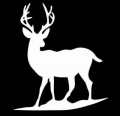 Standing Whitetail Deer Vinyl Hunting Sticker