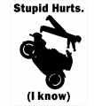 Stupid Hurts Super Bike Sticker Pack