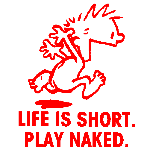 Calvin Play Naked Decal