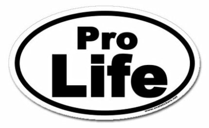 Pro Life Oval Decal