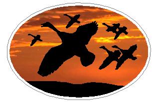 Oval Flying Ducks Decal