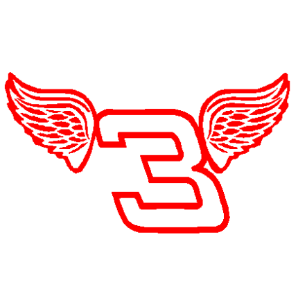 Dale Wings decal