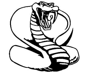 Cobra decal 3