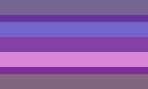 androgyne pride flag