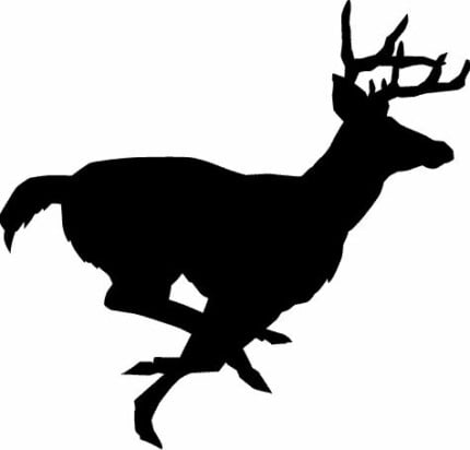 Deer Decal 15