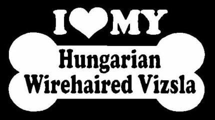 I Love My Hungarian Wirehaired Vizsla