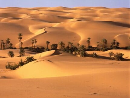 Sand and Deserts Vinyl Wall Graphics 06
