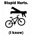 Stupid Hurts Mountain Bike Sticker Pack