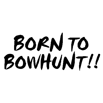 Born 2 Bowhunt Decal