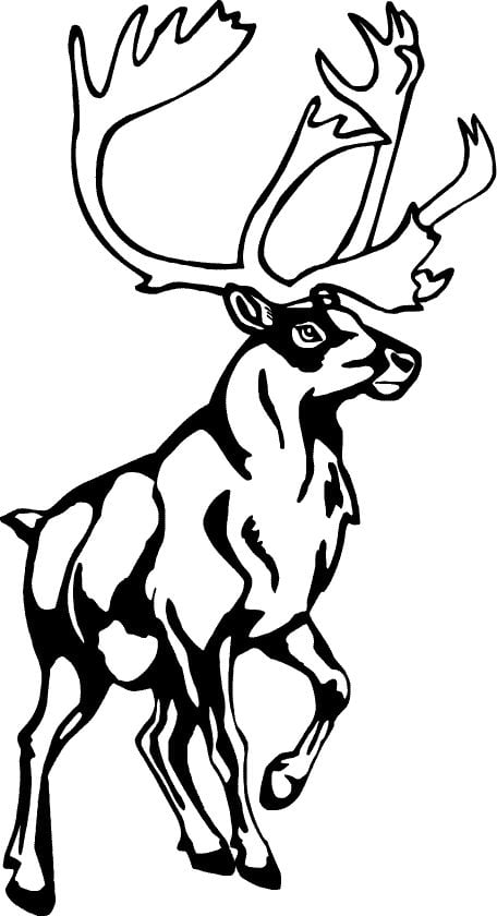 Deer Decal 13