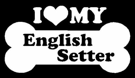 I Love My English Setter