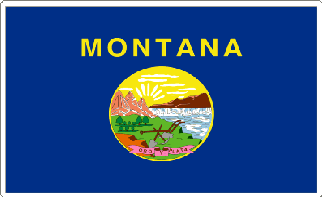 Montana State Flag Decal