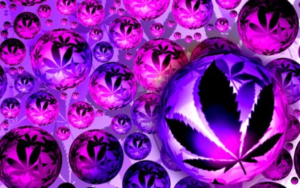 purple bubbles weed sticker