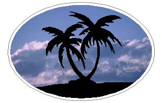 Oval Palm Tree Decal