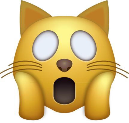 CAT OMG Emoji