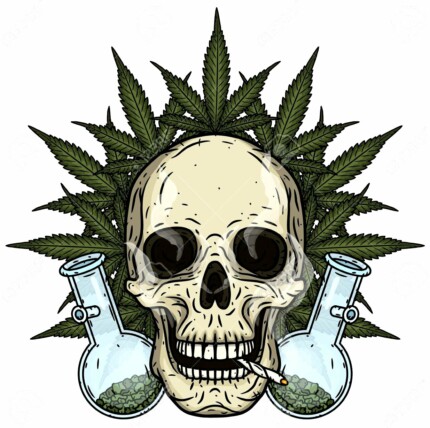 skull-skull-with-bong-and-marijuana-leaves-rastaman-skull-with-cannabis-leafs-and-spliff sticker