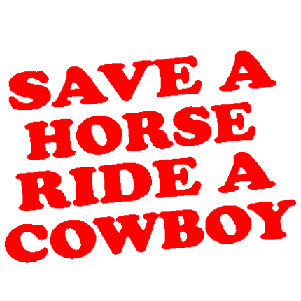 Ride a Cowboy Vinyl Sticker