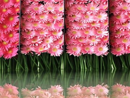 Flowers and Plants Vinyl Wall Art 202