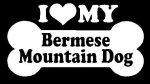 I Love My Bermese Mountain Dog