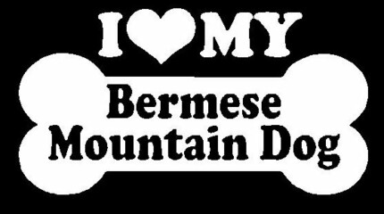 I Love My Bermese Mountain Dog