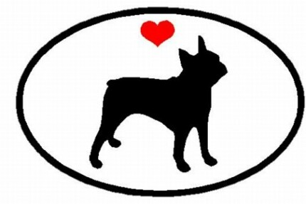 Oval Boston Terrier Decal