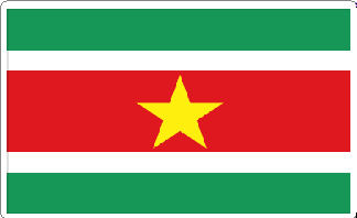 Suriname Flag Decal