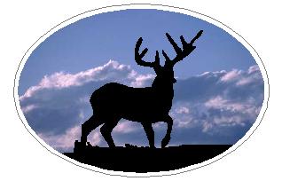 Oval Deer Buck Decal