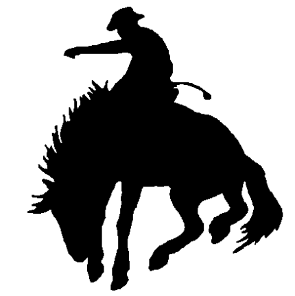 Cowboy Rodeo Decal