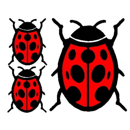 Ladybug Stickers - 677