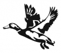 DUCK FLY HIGH DECAL 2