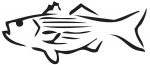 Fishing Decals Car Stickers 4