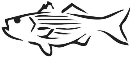 Fishing Decals Car Stickers 4