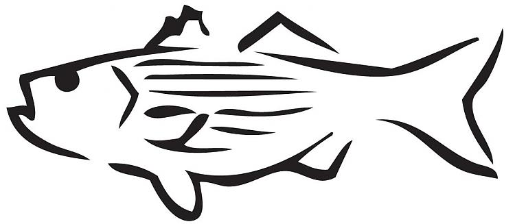 Fishing Decals Car Stickers 4 - Pro Sport Stickers