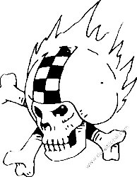 Flame Skull Decal 9