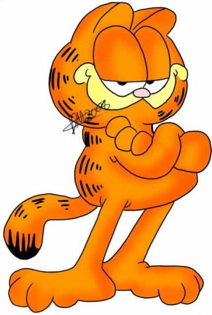 Garfield Color Sticker - 6