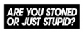 stoned or stupid funny sticker