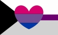 demisexual biromantic pride flag