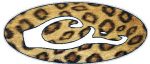 DRAKE OVAL DECAL- Skin Leopard Skin FILL