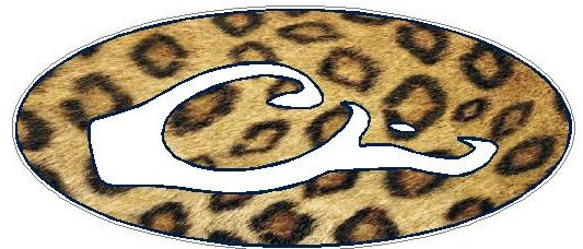 DRAKE OVAL DECAL- Skin Leopard Skin FILL