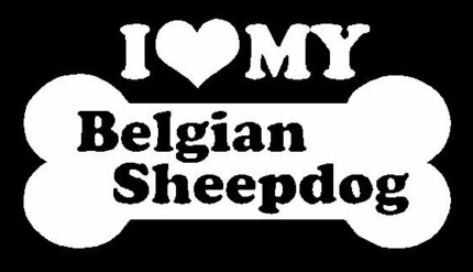I Love My Belgian Sheepdog