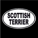 Scottish Terrier Oval Decal