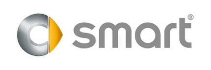 Smart Logo 2 Color Vinyl Sticker