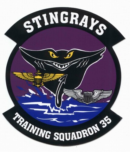 Stingrays Navy Logo