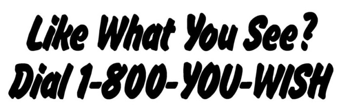 Like What You See Vinyl Car Decal