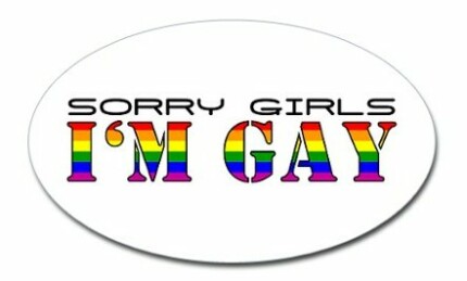sorry girls im gay oval sticker